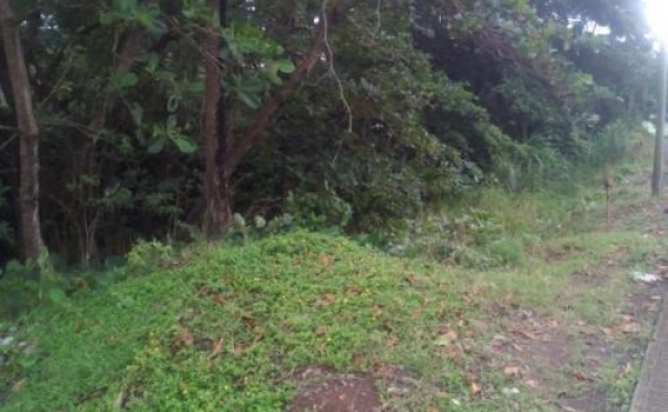 Photo of the land in Marigot